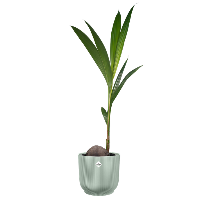 vibes fold round 22cm sorbet green